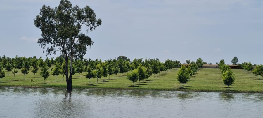 4 Bedroom Property for Sale in Oranjeville Free State